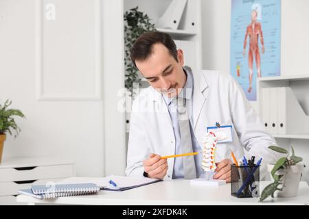 Medico di sesso maschile che dimostra l'anatomia spinale con modello di colonna vertebrale in clinica Foto Stock