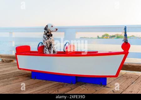 Il cucciolo dalmata si siede graziosamente e guarda avanti in un colorato modello di barca da parco giochi in legno sul Malibu Pier al tramonto. La scena serena presenta un Foto Stock