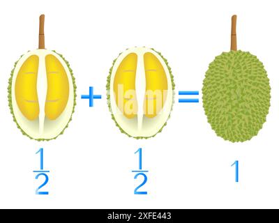 Relazione d'azione delle metà di addizione, esempi con durian. Gioco educativo per bambini. Illustrazione Vettoriale