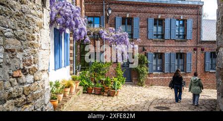 Francia, somme, Baie de somme, Saint-Valery-sur-somme, rue de la porte de Nevers, in piena fioritura Foto Stock