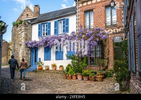 Francia, somme, Baie de somme, Saint-Valery-sur-somme, rue de la porte de Nevers, in piena fioritura Foto Stock