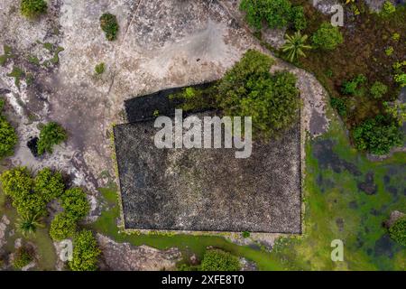 Polinesia francese, Isole della società, Raiatea, Marae de Taputapuatea, sito patrimonio dell'umanità dell'UNESCO al centro delle pratiche religiose tradizionali di Polyn Foto Stock