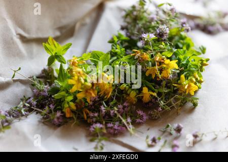 Hypericum perforatum, erba di San Giovanni e timo fiori freschi che si asciugano sulla carta Foto Stock