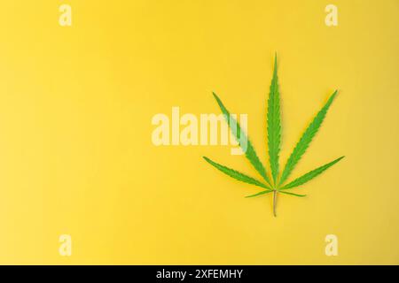 foglia di cannabis su uno spazio di copia su sfondo giallo brillante. concetto di legalizzazione della cannabis Foto Stock