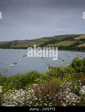 Guardando il fiume Avon da Bantham nel devon meridionale. Foto Stock