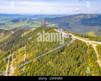 Vista aerea dello Sky Bridge 721, la passerella sospesa più lunga del mondo, che si estende su una montagna boscosa in Cechia. La torre panoramica Sky Walk si erge nelle vicinanze e offre vedute panoramiche Foto Stock