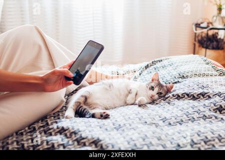 Donna che scatta una foto del suo gatto bianco e grigio sdraiato sul divano di casa. Proprietario che utilizza lo smartphone per scattare foto di un animale domestico Foto Stock