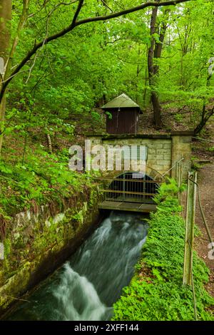 RothschoÂnberg RoÂschenmundloch Copyright Ã Sylvio Dittrich 49 1772156417 RothschoÂnberg, RoÂschenmundloch Der RothschoÂnberger Stolln ist ein WasserloÂsungsstollen des Brander und Freiberger Bergreviers. Er wurde von 1844 bis 1882 aufgefahren und Hat mit seinen Nebenanlagen eine GesamtloÂnge von 50,9 km und ist mit 8 LichtloÂchern ausgestattet. DAS durchschnittliche GefoÂlle betroÂgt 0,63 %. Die lichte Weite betroÂgt 2,50 m, Die lichte HoÂhe im unteren Stollenabschnitt zwischen RothschoÂnberg und dem VII. Lichtloch 3,00 m und oberhalb des VII. Lichtlochs 1,50 m. Damit ist zur Kontrolle und Wa Foto Stock