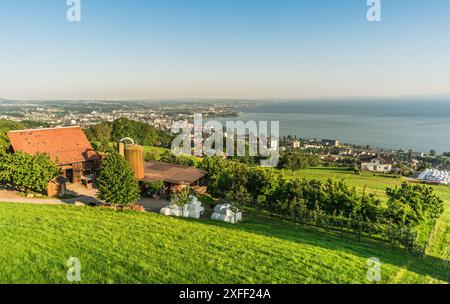 Vista panoramica da Rorschacherberg al Lago di Costanza e Rorschach, Cantone di San Gallo, Svizzera Foto Stock