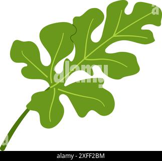 Foglia verde anguria. Clipart di illustrazione botanica isolata in stile piatto e alla moda disegnata a mano. Illustrazione vettoriale Illustrazione Vettoriale