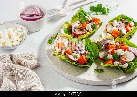 sane lattughe dolci di patate con ravanello, feta, lenticchie Foto Stock