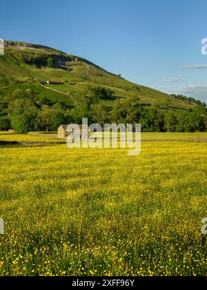 Pittoreschi prati di fiori selvatici dell'altopiano di Swaledale (vecchio fienile di pietra, colorati fiori di coppa, collina, cielo blu) - Muker, Yorkshire Dales, Inghilterra Regno Unito Foto Stock