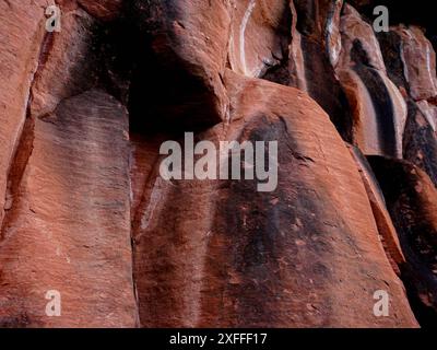 Scogliere rocciose a Phu Thok o Wat Chetiyakhiri, splendido paesaggio montano, provincia di Bueng Kan, Thailandia. Foto Stock