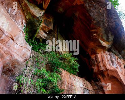 Phu Thok o Wat Chetiyakhiri, splendido paesaggio montano e ponti di legno su alte scogliere rocciose, provincia di Bueng Kan, Thailandia. Foto Stock