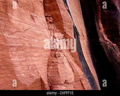 Scogliere rocciose a Phu Thok o Wat Chetiyakhiri, splendido paesaggio montano, provincia di Bueng Kan, Thailandia. Foto Stock