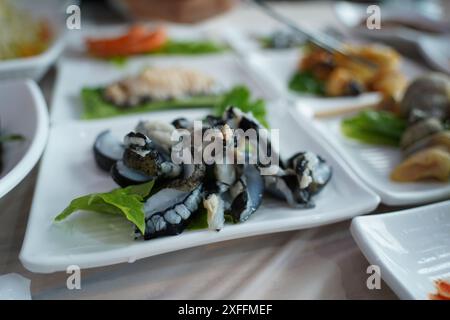 Il pesce crudo di cetriolo di mare, chiamato ginseng selvatico del mare, è apprezzato nei paesi asiatici, tra cui la Corea Foto Stock