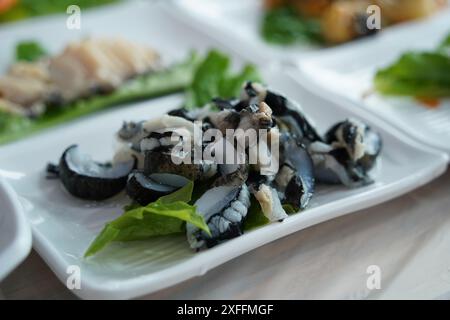 Il pesce crudo di cetriolo di mare, chiamato ginseng selvatico del mare, è apprezzato nei paesi asiatici, tra cui la Corea Foto Stock