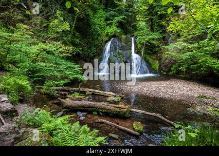 Le cascate di Fairy Glen, Rosemarkie, Black Isle, Ross e Cromarty, Scozia settentrionale Foto Stock