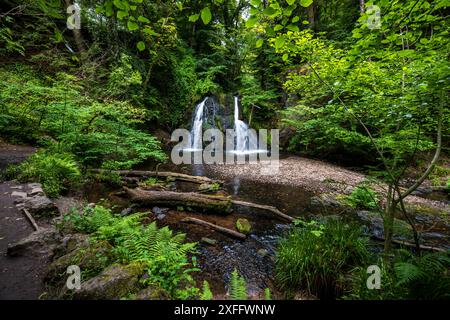 Le cascate di Fairy Glen, Rosemarkie, Black Isle, Ross e Cromarty, Scozia settentrionale Foto Stock