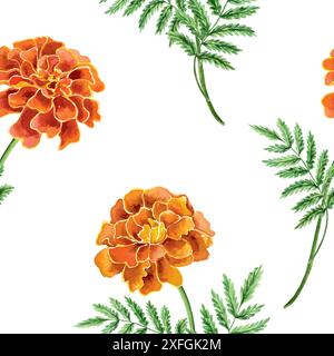 Motivo Marigolds senza cuciture, acquerello. Illustrazione vettoriale disegnata a mano di un fiore. Per biglietti di auguri Day of the Dead, inviti, carta da imballaggio, f Illustrazione Vettoriale