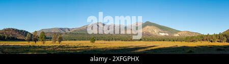 San Francisco Peaks nella Coconino National Forest, Arizona, USA Foto Stock