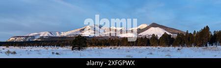 San Francisco Peaks in inverno, Arizona, Stati Uniti Foto Stock