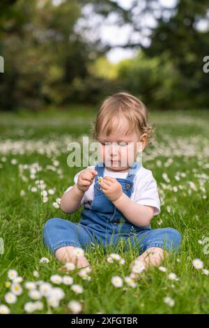 ritratto di un bambino con capelli biondi e ondulati, seduto sull'erba verde tra molte margherite. L'attenzione è rivolta al bambino, lo sfondo è sfocato Foto Stock