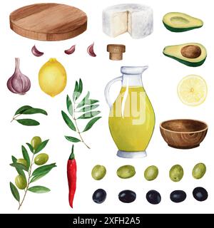 Acquerello disegnato a mano illustrazione organica di olive verdi, rami, foglie, frutti, pietre e olio. Set da disegno Olive isolato sul dorso bianco Foto Stock