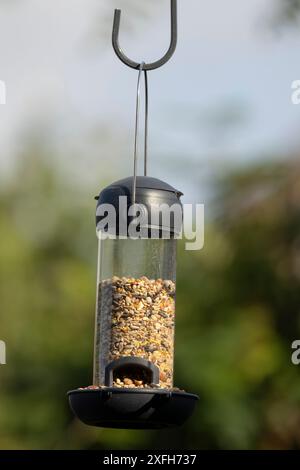 primo piano dell'alimentatore per uccelli riempito di semi di plastica Foto Stock