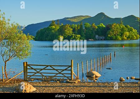 Luce serale su Derwentwater nel Lake District inglese Foto Stock