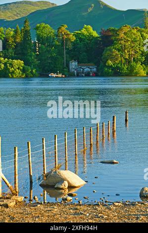 Luce serale su Derwentwater nel Lake District inglese Foto Stock