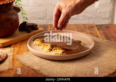 Enmoladas di pollo. Conosciuti anche come mole poblano enchiladas, sono un tipico piatto messicano che è molto popolare in Messico e nel resto del mondo. Foto Stock