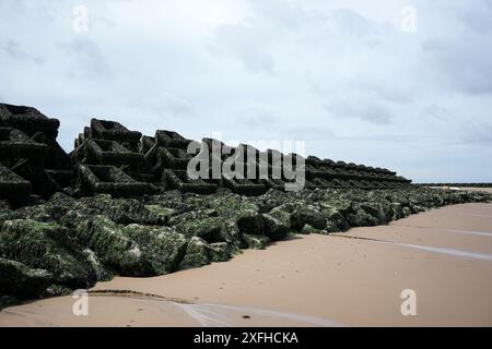 Acqua bassa espone le difese del mare, mostrando un calcestruzzo pre-formata groyne installato per calmare le acque all'estuario del fiume Mersey, New Brighton, Wallasey, Wirral, Merseyside, Regno Unito Foto Stock