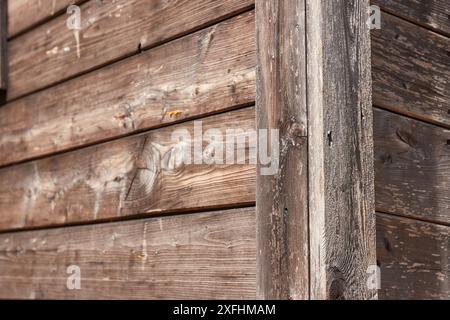 Costruzione in legno di un capannone Foto Stock