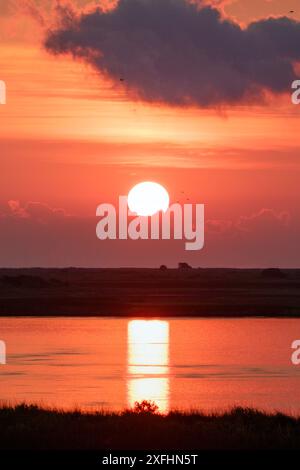 Alba tempestosa sulle paludi costiere, Galveston, Texas, Stati Uniti. Foto Stock