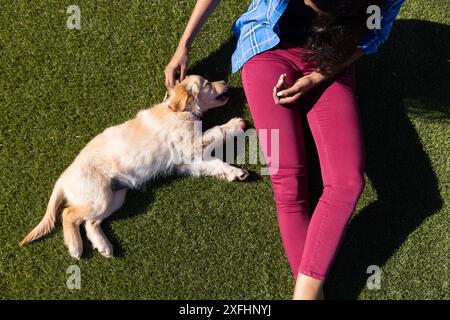 Cucciolo giocoso, donna che si rilassa sull'erba nello stile di vita casalingo informale Foto Stock
