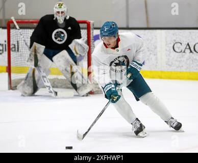 San Jose, Stati Uniti. 2 luglio 2024. Il prospettiva dei San Jose Sharks Will Smith (2) prende parte al campo di sviluppo il 2 luglio 2024 a San Jose, California. (Foto di Aric Crabb/Bay area News Group/TNS/Sipa USA) credito: SIPA USA/Alamy Live News Foto Stock