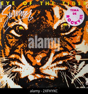 Copertina da record vintage Eye of the Tiger Foto Stock