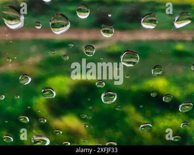 Primo piano di gocce d'acqua macro su un bicchiere bagnato su sfondo verde naturale. Effetto gocce di pioggia su una superficie liscia. Giorno di pioggia. Sfondo astratto Foto Stock