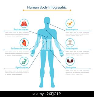 Concetto infografico del corpo umano, illustrazione vettoriale piatta Illustrazione Vettoriale
