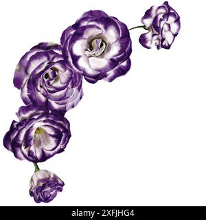 Grandi fiori viola di eustoma, lisianthus e bluebell. Composizione in un arco. Fiori e gemme. Illustrazione acquerello. Foto Stock