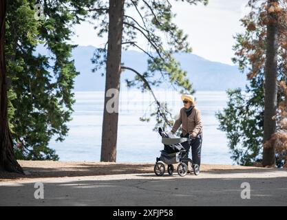 Donna anziana che cammina con un camminatore mobile. Ed Z'berg Sugar Pine Point State Park. Lago Tahoe. California. Foto Stock