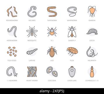 Set di icone a linea piatta Parasites. Verme intestinale, elminto, mosca di sabbia, zecca, pulci del cane, leech, qiardia, illustrazioni di zanzara dengue. Delineare le indicazioni per Illustrazione Vettoriale