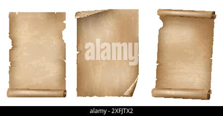 Set di rotoli antichi o Parchment, realistica illustrazione vettoriale su sfondo bianco Illustrazione Vettoriale