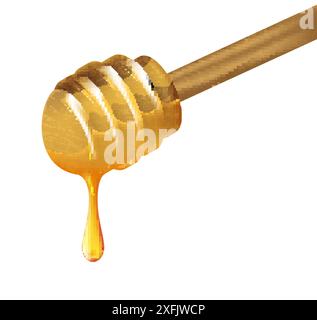 Cucchiaio di miele in legno con miele che scorre su sfondo bianco, illustrazione vettoriale realistica primo piano Illustrazione Vettoriale