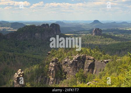 Ampia vista delle lussureggianti valli e delle impressionanti formazioni rocciose nella panoramica Svizzera sassone in estate Foto Stock