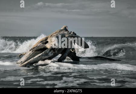 Scorci del mare a Lido di Dante, Ravenna Foto Stock