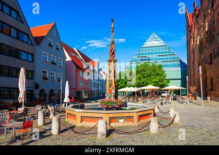 Fish Box Fountain o Fischkasten Brunnen si trova vicino a Rathaus o Città Vecchia nella città di Ulm, Germania Foto Stock