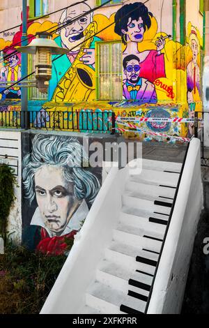 La scalinata per piano di Escalera, circondata da graffiti e opere murali, è visibile sulla collina di Cerro Concepción a Valparaíso, Cile. Foto Stock