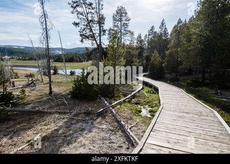 Un'area boscosa con un sentiero che conduce attraverso di essa. Il sentiero è fatto di legno ed è circondato da alberi. L'area sembra essere una foresta, e il percorso è a. Foto Stock